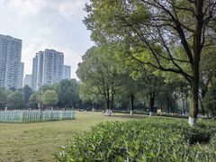 -重庆彩云湖湿地公园