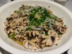 -三猫黑鱼花(南大店)