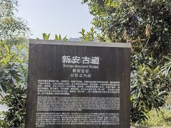 -新安江山水画廊风景区
