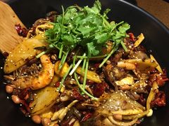 -食乐佳麻辣香锅(森林摩尔商业街区店)