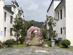 -梅岭神龙潭