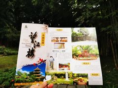 -望江楼公园