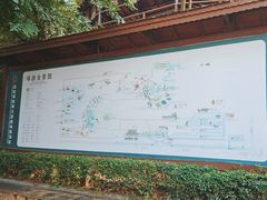 -亚龙湾热带天堂森林公园