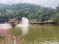 -西双版纳原始森林公园