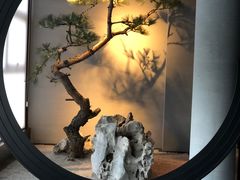 -山塘渡·苏式园林餐厅
