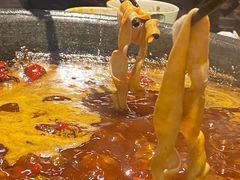 -五里关火锅(牛市口店)