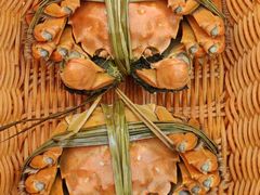 -蟹村草堂·苏式园林人文农家·大闸蟹