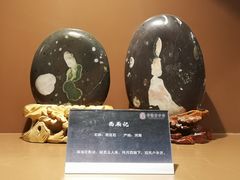 -中华赏石园