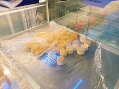 奶酪饼干-甜嘟嘟烘焙坊(舒城路店)