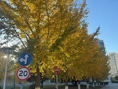 -锦江富园大酒店-游泳馆