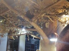 大堂-傣妹火锅(南京东路一店)