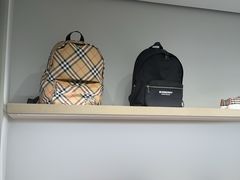 -米兰马尔彭萨国际机场