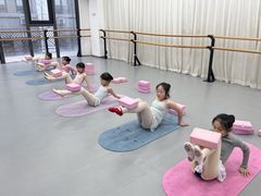 -中央芭蕾舞团·中芭艺蕾(酒仙桥明星校区)
