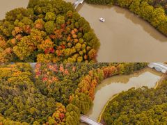 -上海海湾国家森林公园