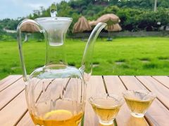 -桃源山庄·水蜜桃采摘·柴火鸡·烧烤团建(龙泉山店)