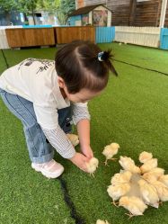 -萌宠亲子动物乐园(槐房万达店)