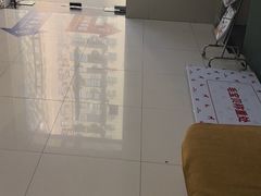 -申普宠物医院·心脏介入·心血管微创(总院)