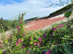 -北京金海湖景区