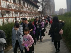 -西安青龙寺遗址景区