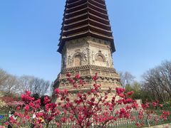 -玲珑塔公园