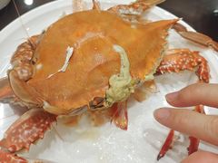 鲜活大螃蟹-北塘海鲜·天津菜(大光明桥旗舰店)