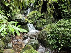 -龙苍沟森林公园