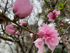 -乌山风景区