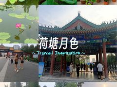 -莲花池公园