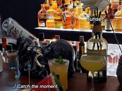 -LAMP BAR 水烟音乐酒吧