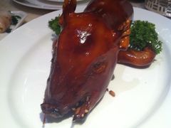 半只乳猪局饭-8餐厅(新葡京酒店)