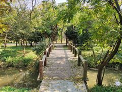-东平国家森林公园