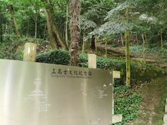-上海佘山国家森林公园天马山园