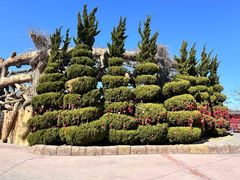 -大连海昌发现王国主题公园