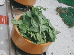 -喜家自助小火锅(卓悦里店)