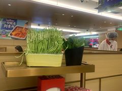 -海底捞火锅(旭辉MALL店)