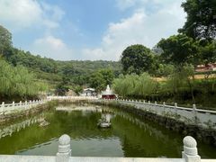 -南国桃园旅游度假区