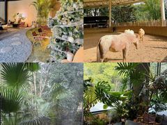 -J Create城市露营咖啡·简餐·宠物(上海动物园店)