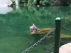 -河南宝泉旅游区