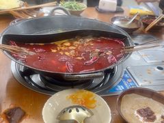 -阳阳老火锅(小南门店)