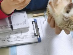 -邦泰·异宠动物医院