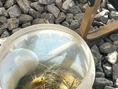 -DGE季风钓虾营地·团建·聚会