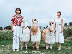 -爱我旅拍婚纱摄影(大理店)