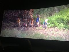 -上影国际影城(普陀绿地缤纷城店)