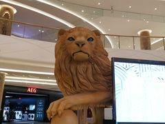 -棕榈MALL