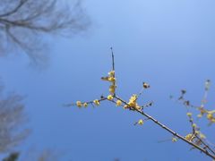 -月坛公园