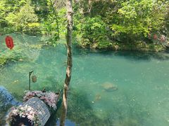-石台牯牛降景区