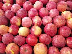 -中百仓储超市(百步亭花园路店)