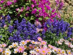 -八角街道·八角南路社区