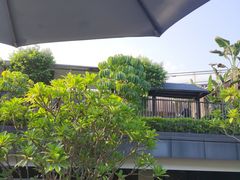 -明谷行馆·温泉