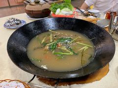 -一煲鸽